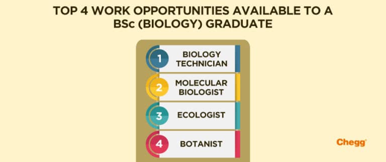 Jobs After B.Sc. Biology Students- Full Time And Part Time