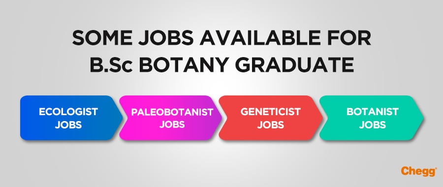 phd botany jobs