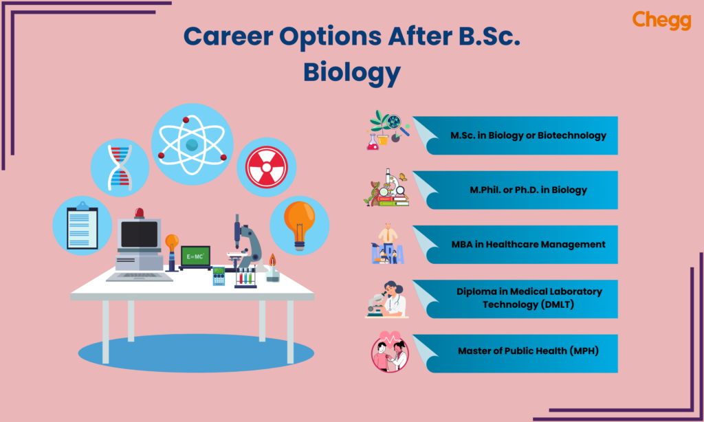 Jobs after B.Sc. Biology