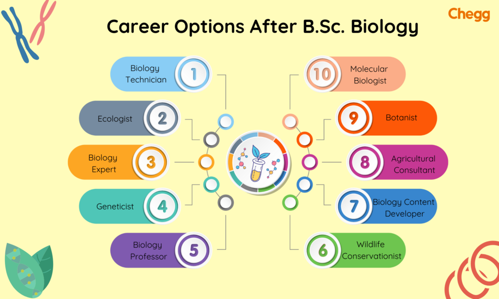 Jobs after B.Sc. Biology
