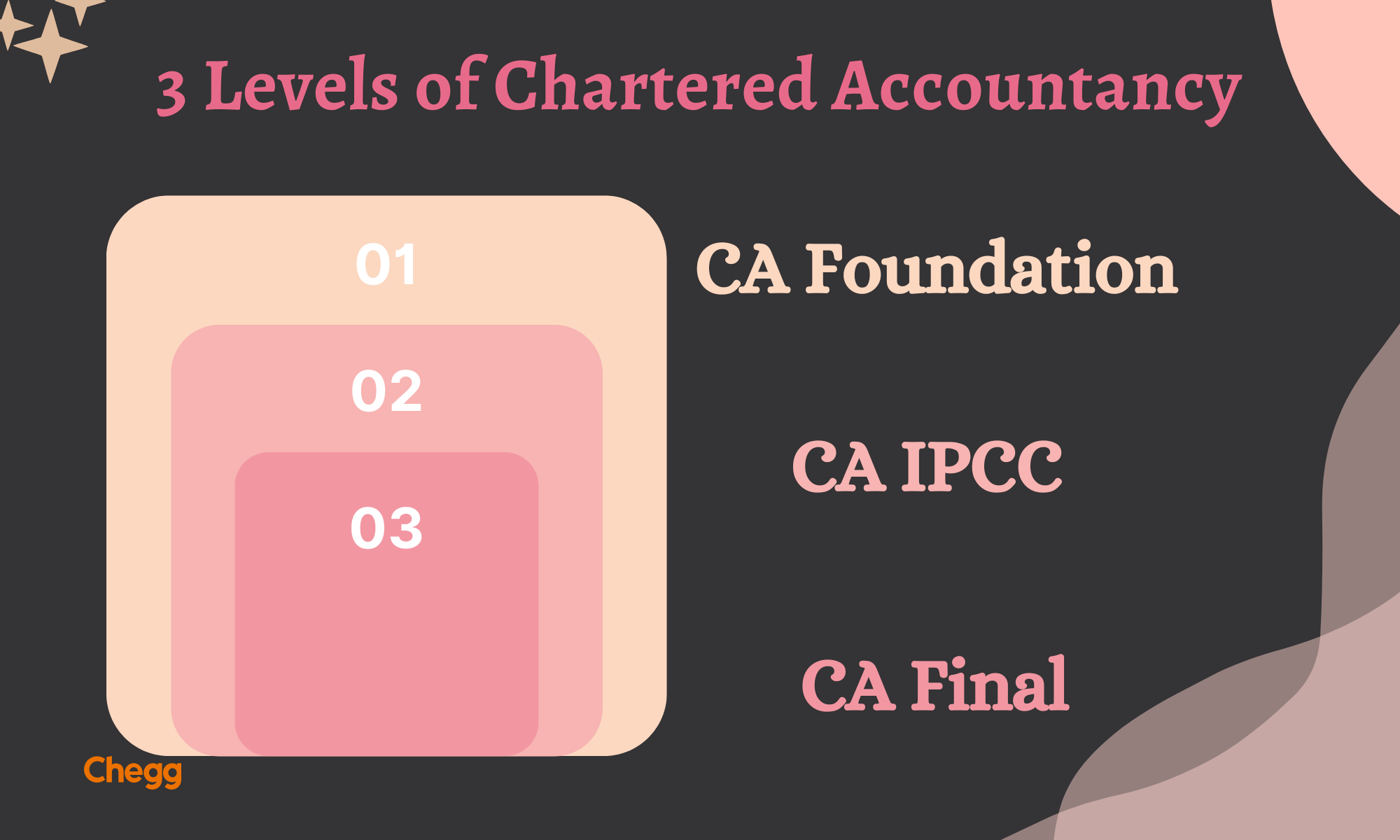 Chartered Accountant Course Subjects 