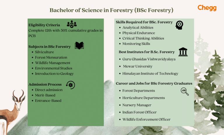 BSc Forestry - Course Details, Fee, And Best Colleges (2024)