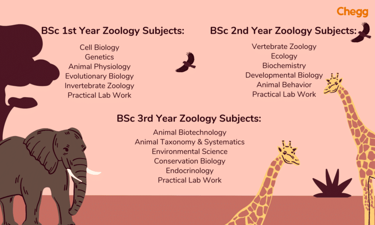 phd zoology subjects