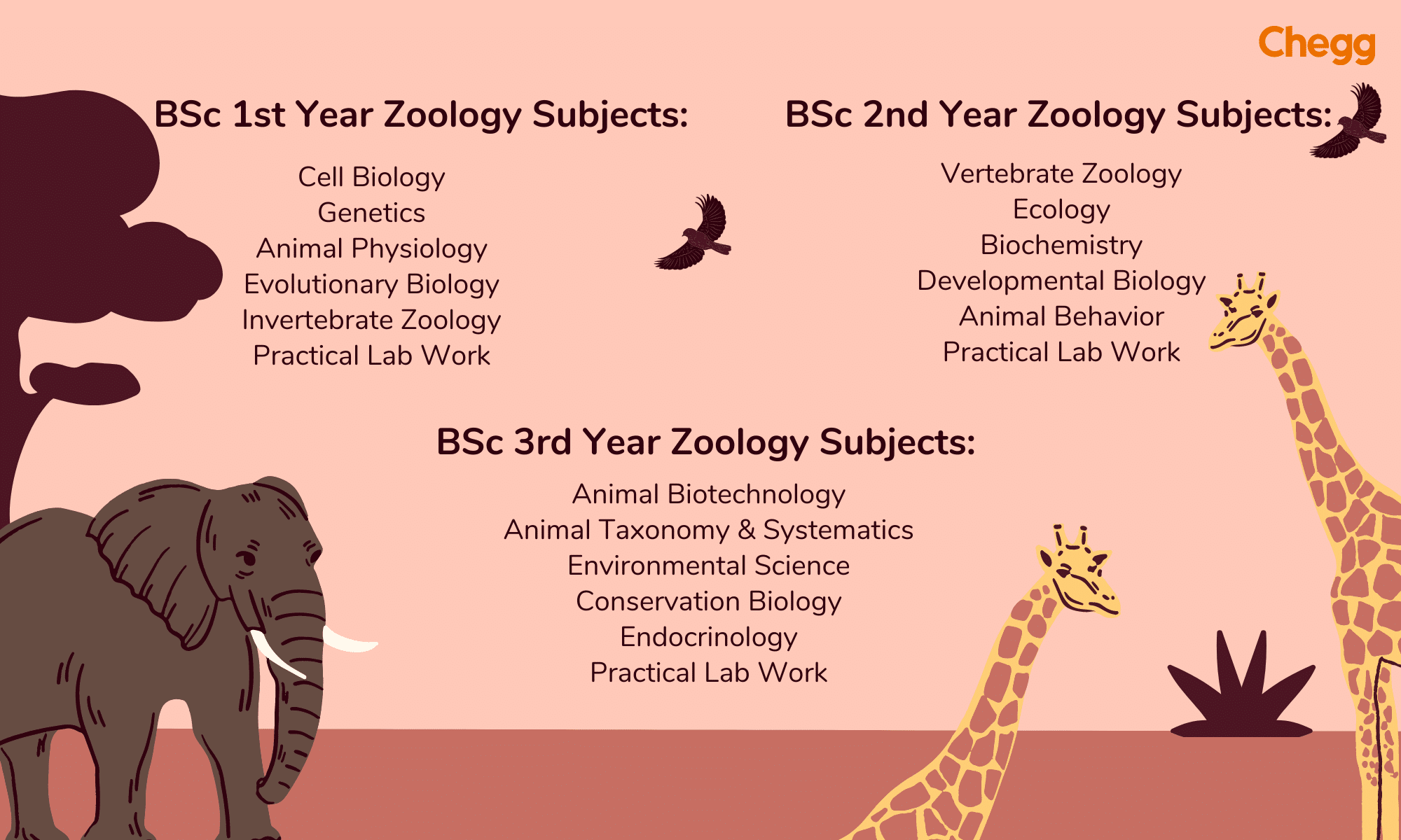 The Ultimate Guide To BSc Zoology 2024: Eligibility & Scope