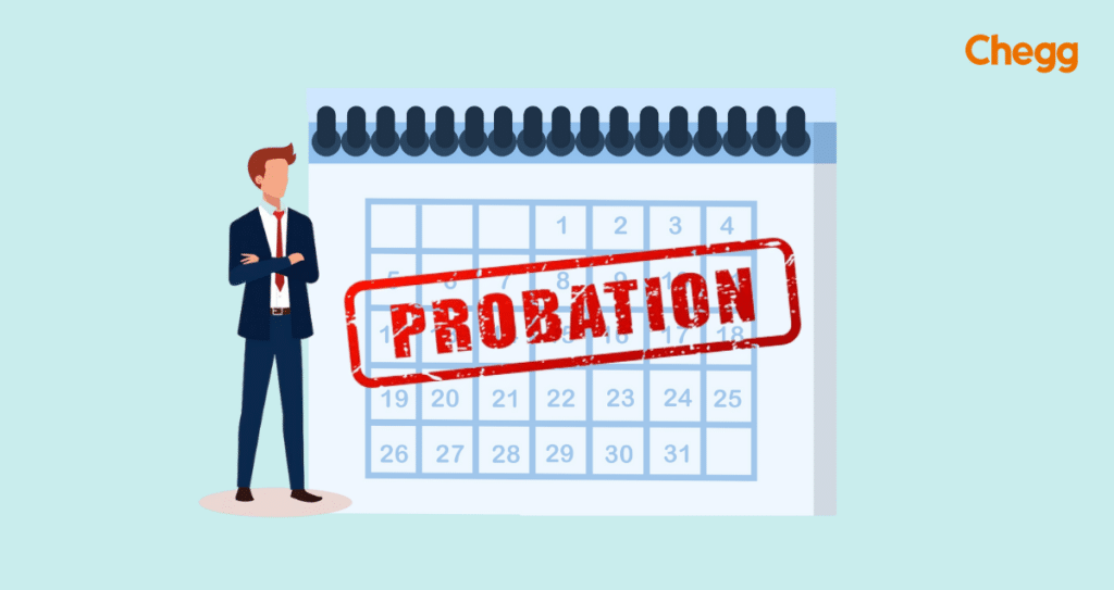 Navigating the Probationary Period A Guide to Job Success