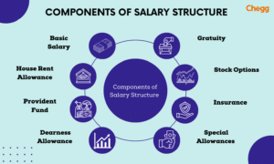 5-Step Salary Breakup Structure: Master Breakdown & Insights