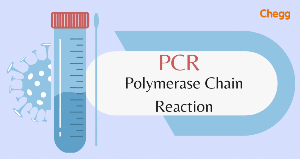 PCR Full Form: 5 Amazing Facts About This Vital Technique