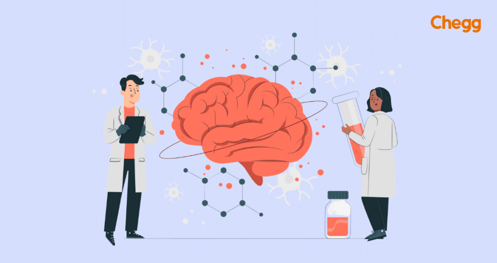 how to become a neurologist