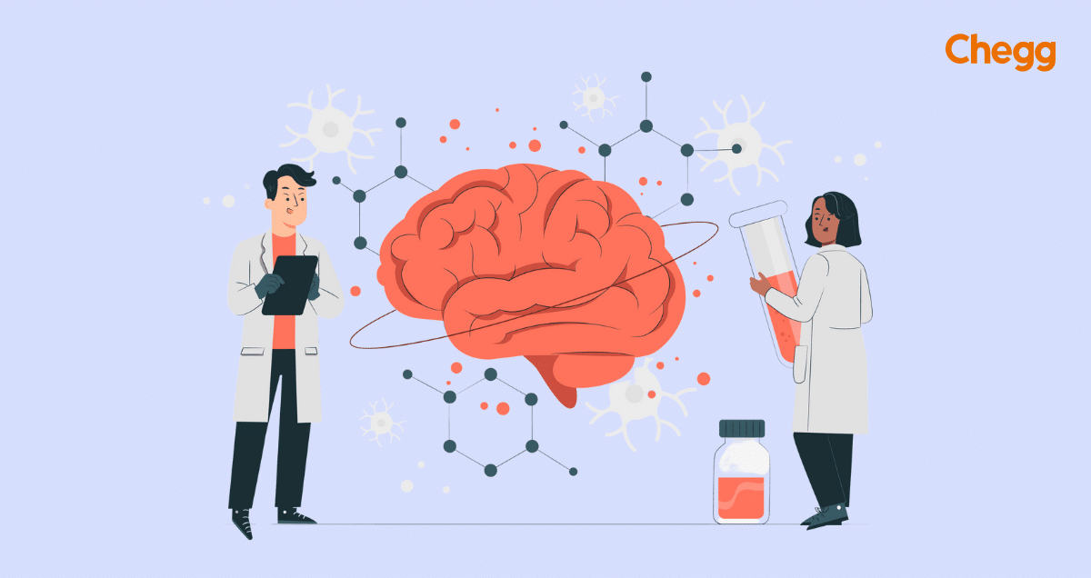 Finetune The Brain: How to Become a Neurologist?