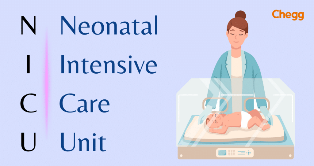 NICU Full Form: Neonatal Intensive Care Unit || Chegg 2024