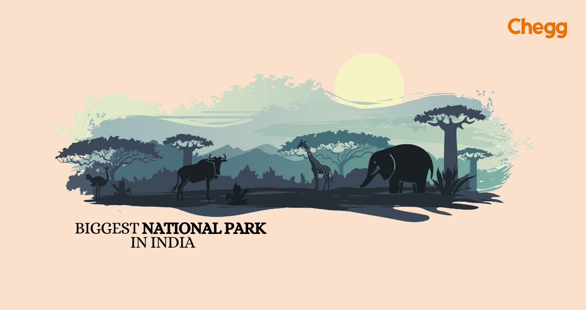 biggest national park in india