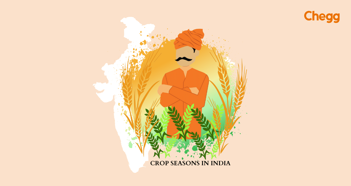 crop seasons in india