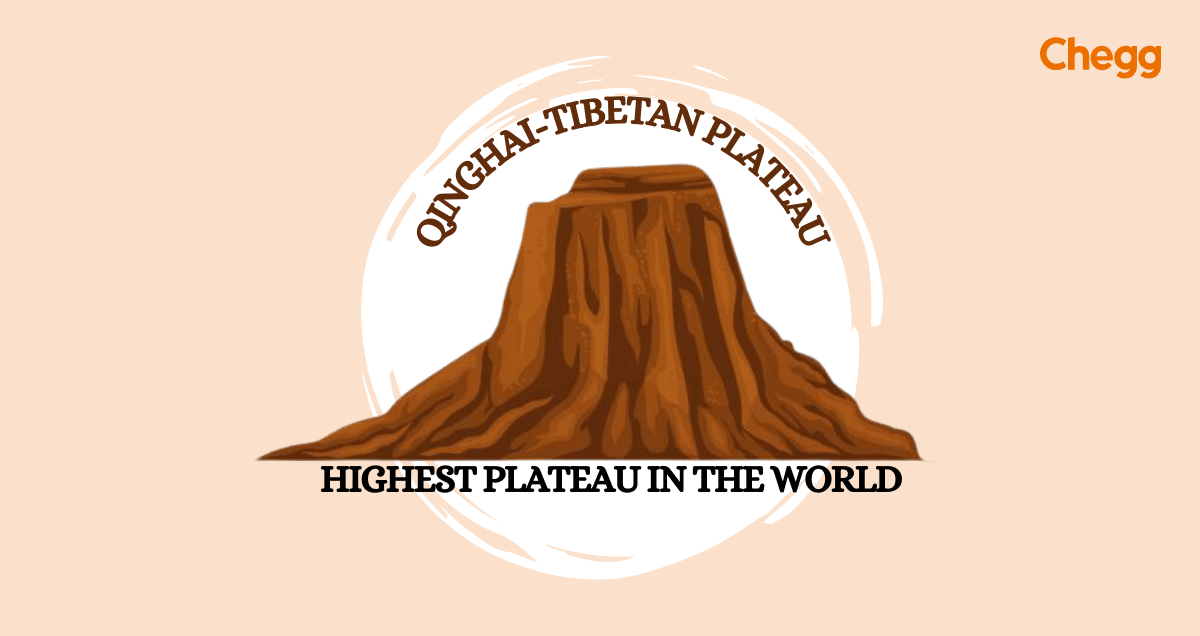 highest plateau in the world