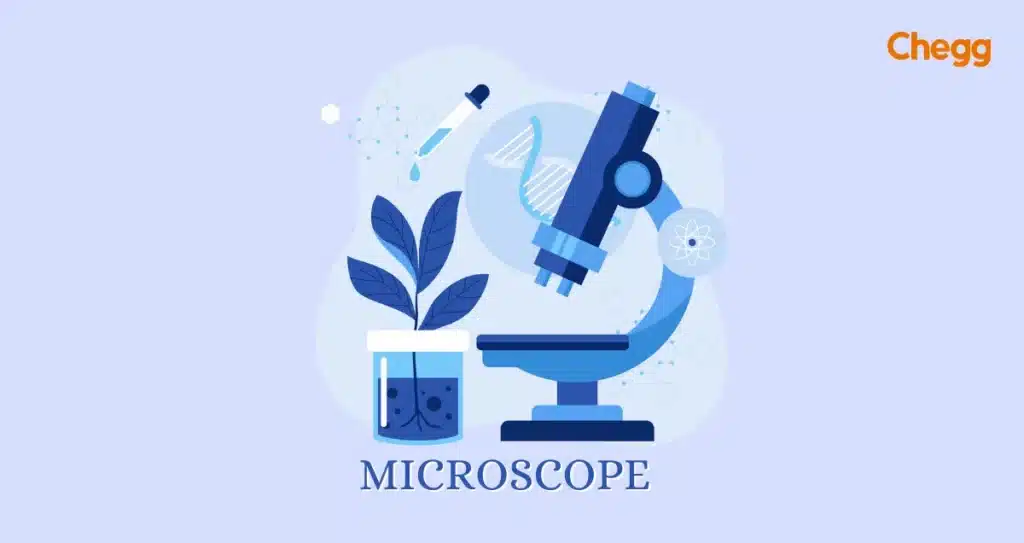  Microscope Diagram