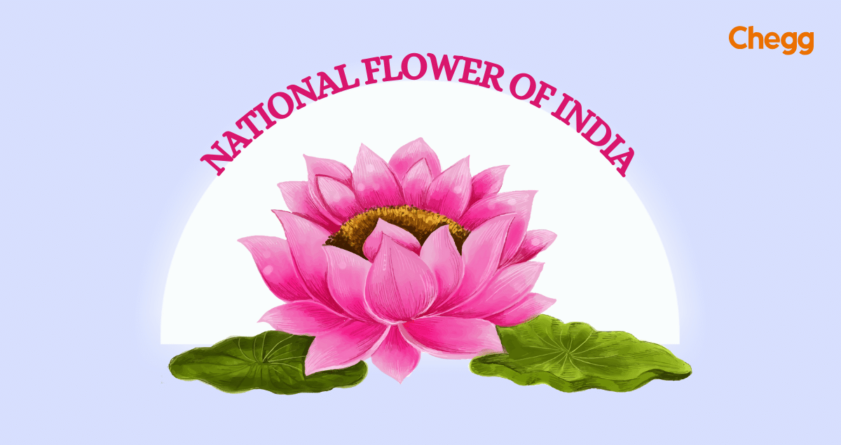 indian national flower essay