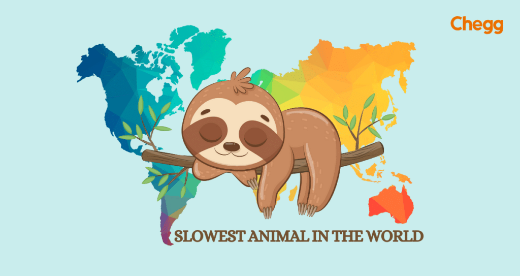 slowest animal in the world