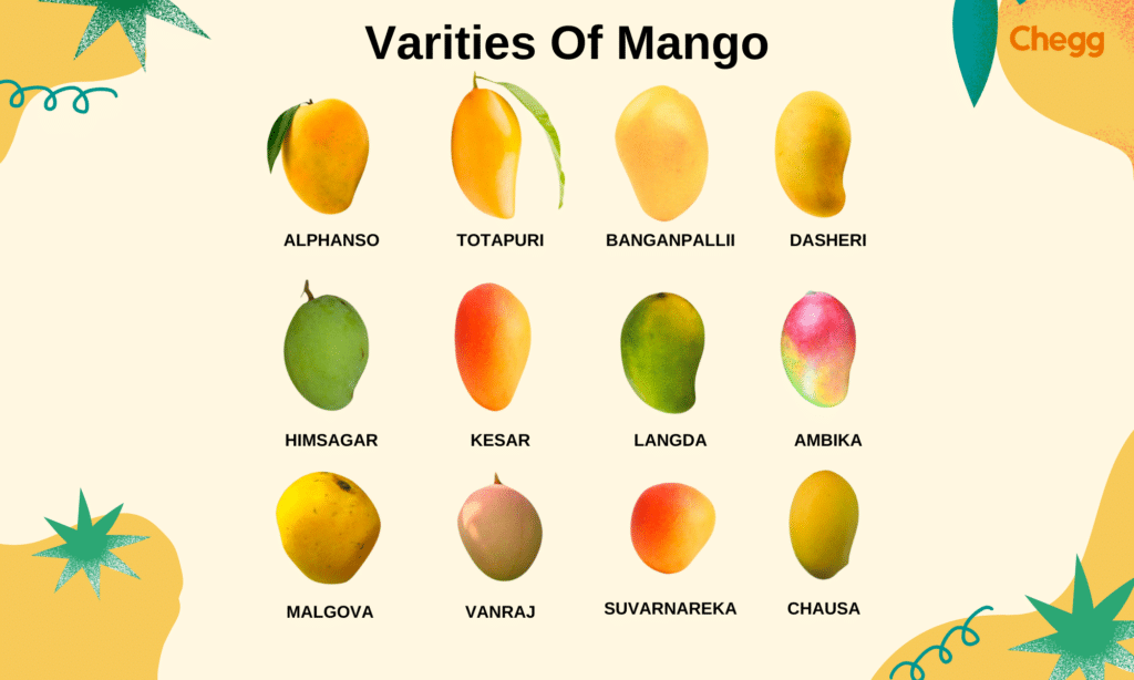 Types of mangoes, national fruit of india