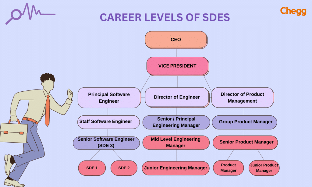 Career levels of SDE