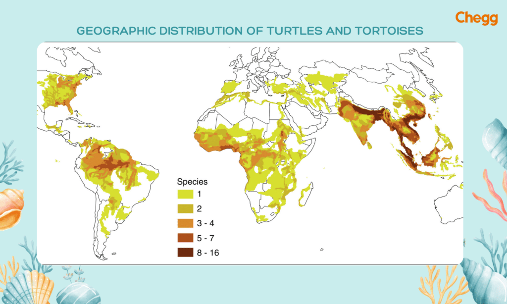 Geographic distribution of turtles and tortoises