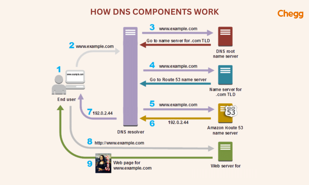 Overview of how DNS components work