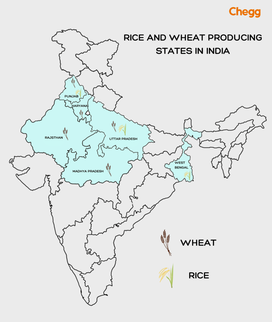 Rice and wheat producing states in India