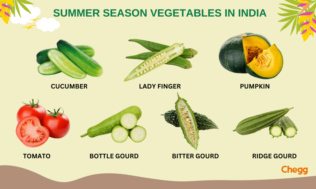 Summer season vegetables in India