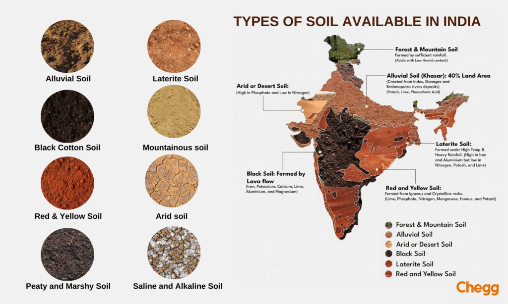 Types of soils in India