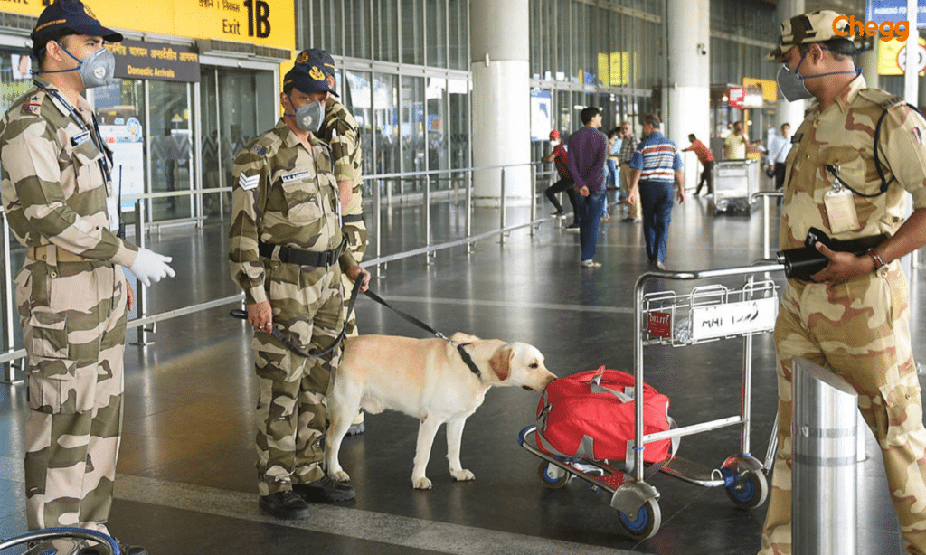 CISF at the airport
