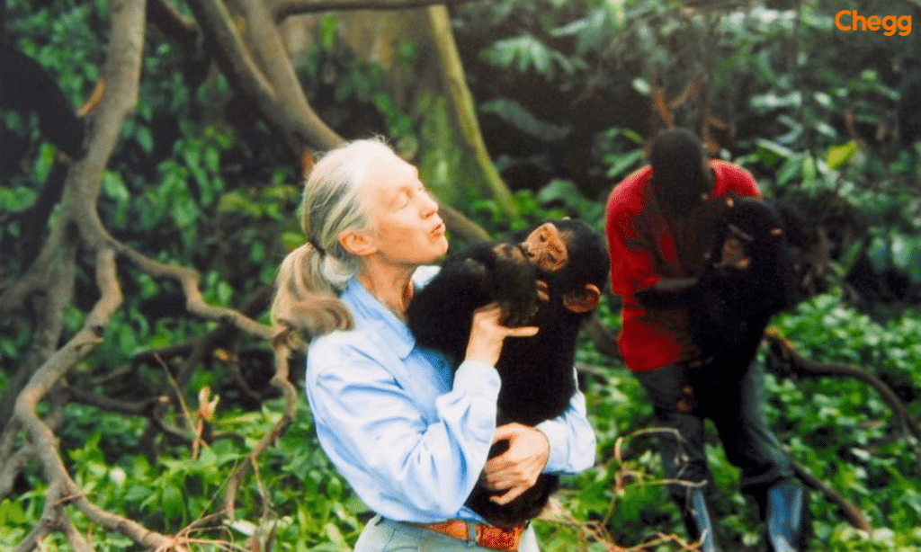 Dr. Jane Goodall, a primatologist and anthropologist.