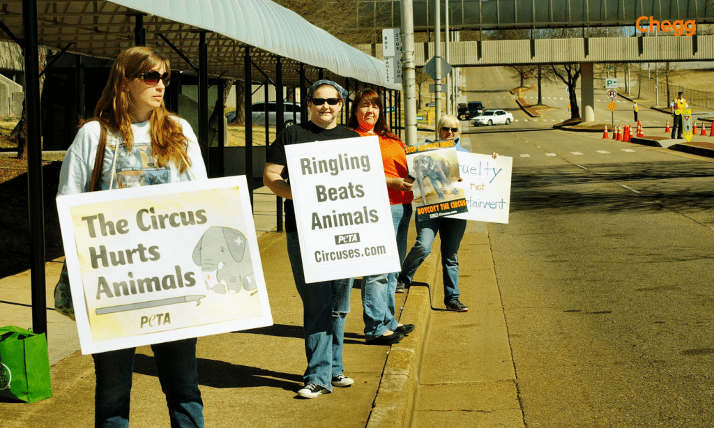 Animal rights movement supporting wildlife conservation