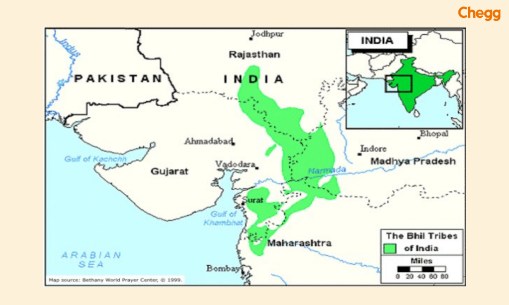 Bhil tribe of India, Largest tribe in india