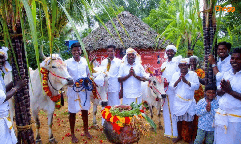 Bhogi Pongal celebration