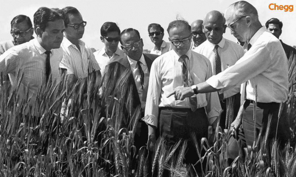 Dr. M.S. Swaminathan (Father of Green Revolution in India) in the middle inspecting crop in the field.