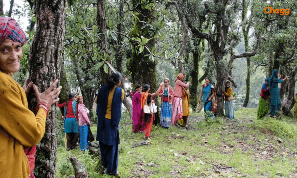 Legacy of the Chipko movement