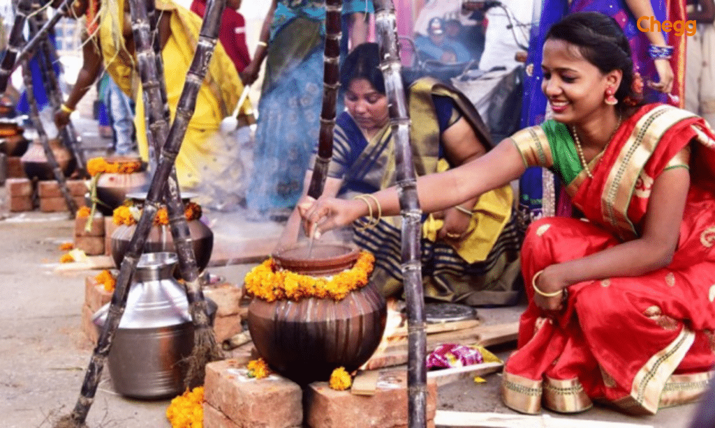 Pongal celebrations