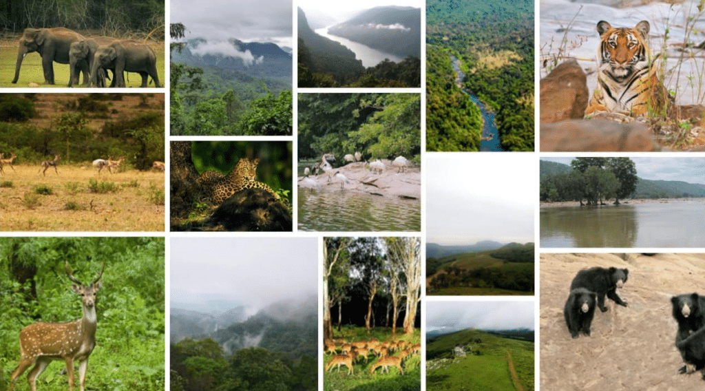 unesco biosphere reserve in india