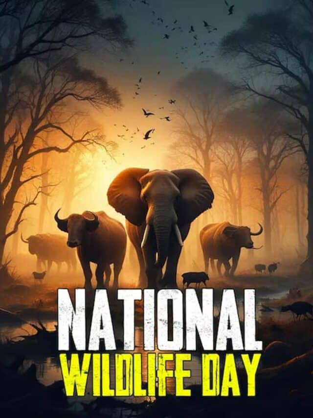 National Wildlife Day 2024 Date and Importance Chegg India